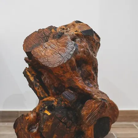 Ulivo Design Reggio Calabria